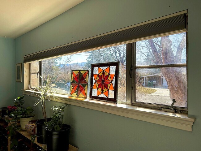 Building Photo - Beautiful Old Southwest Reno Home with Huge Private Yard