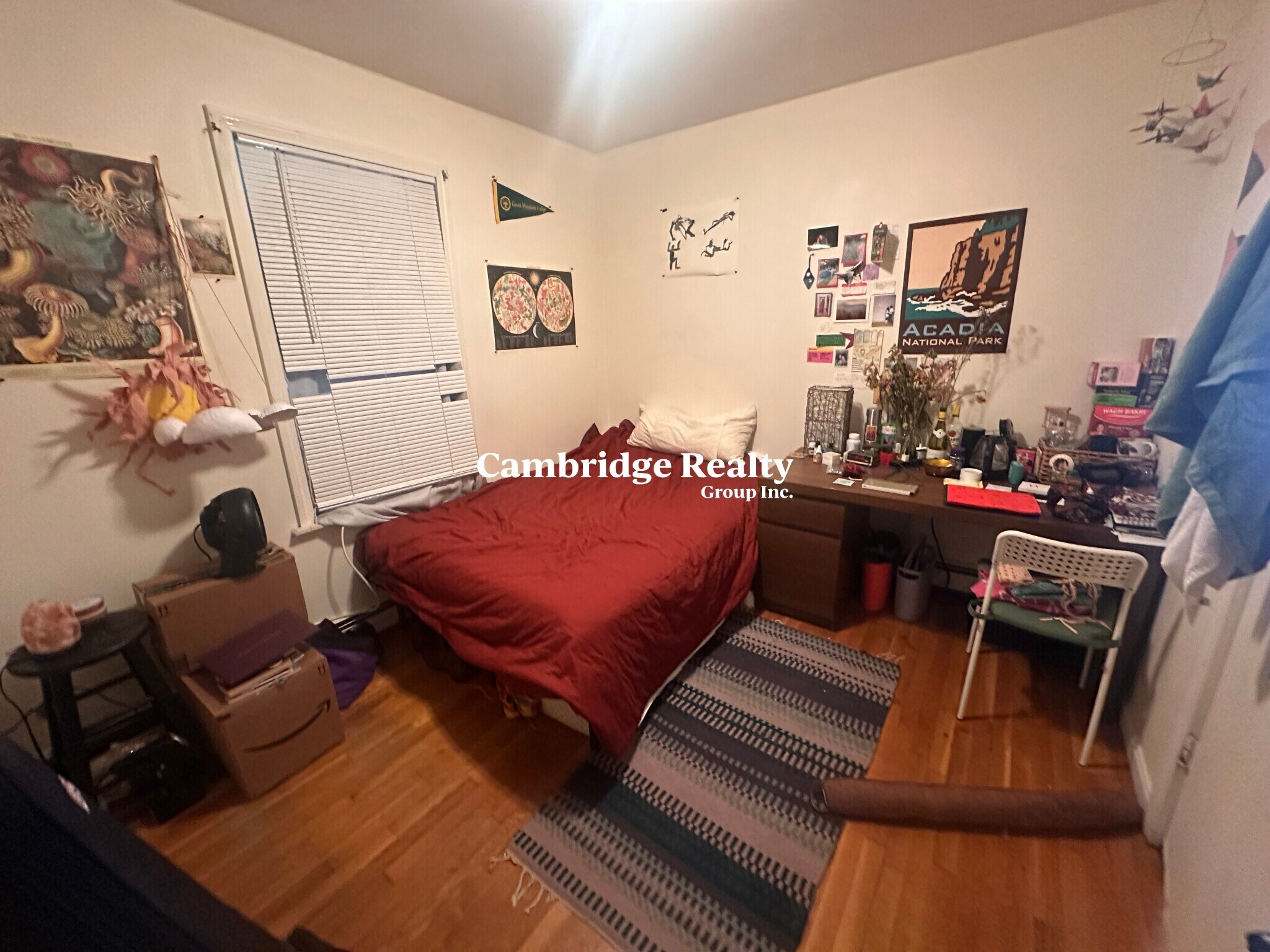 Building Photo - 313 Elm St