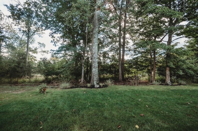 Building Photo - Fall in Love with this home!!!