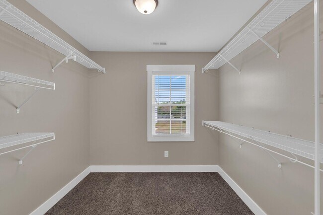 Building Photo - Large home in Swansboro School District