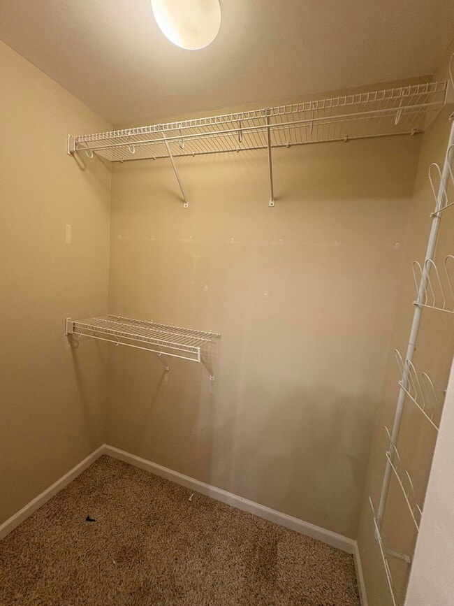 Building Photo - 2576 Moray Pl