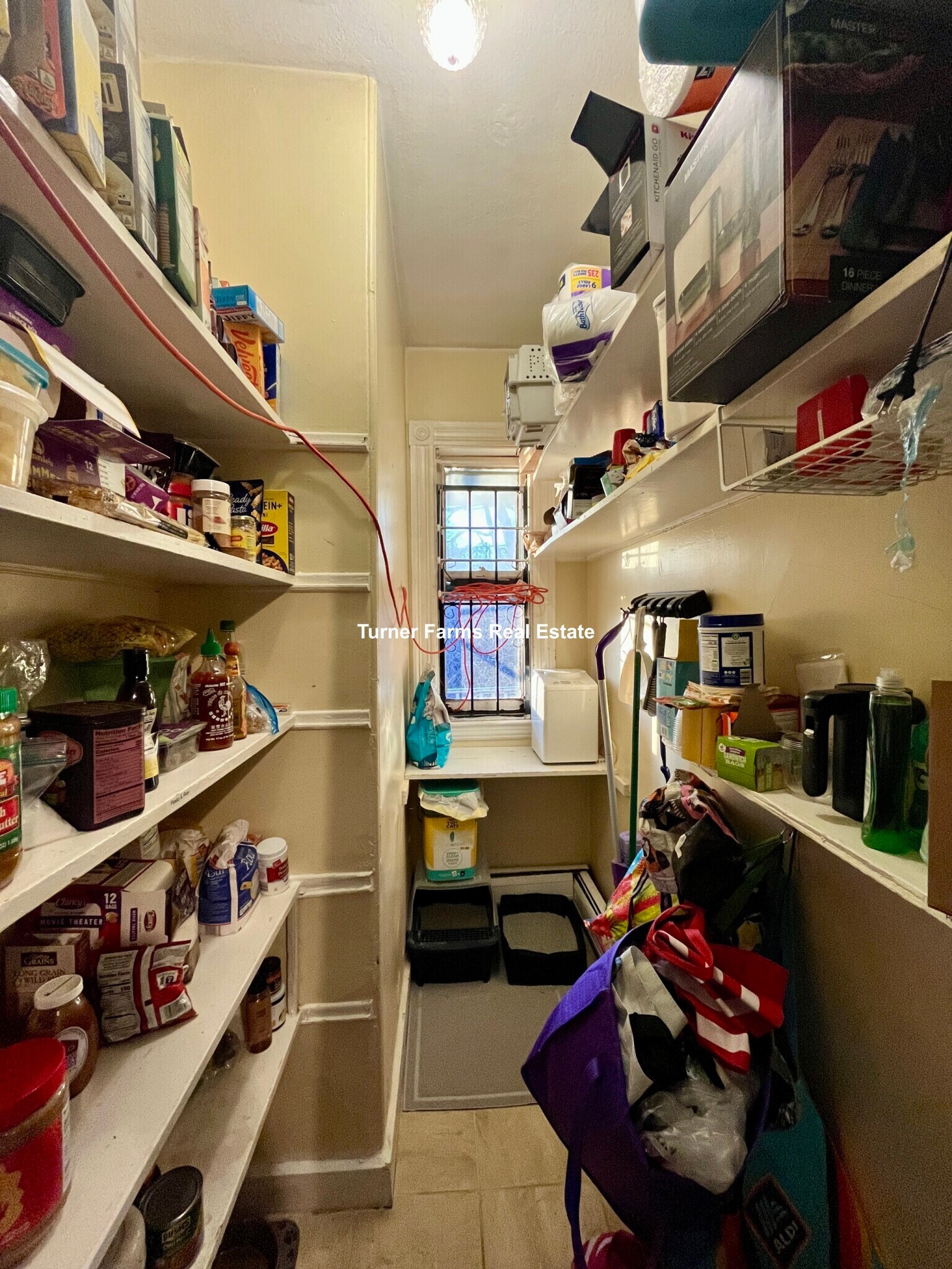 Building Photo - 12 Bucknam St