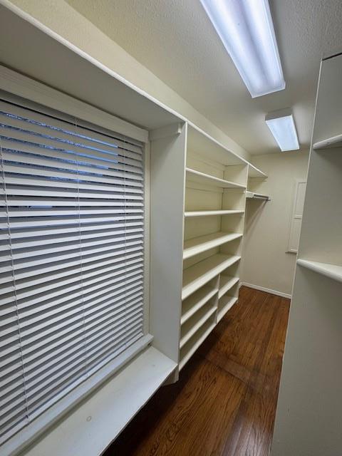 Building Photo - 1318 Ann Arbor Dr