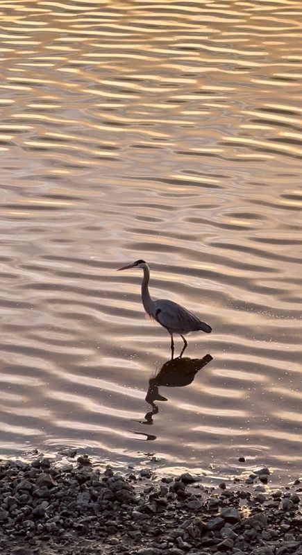 Building Photo - 975 CA-1