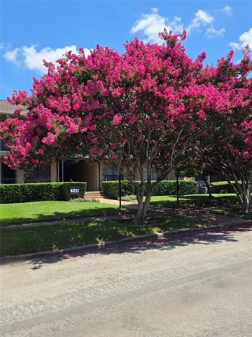 Primary Photo - 4211 Newton Ave