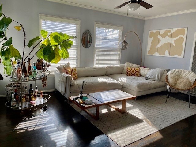 Living Room (just painted a very light gray & a new white ceiling fan installed) - 1008 6th St