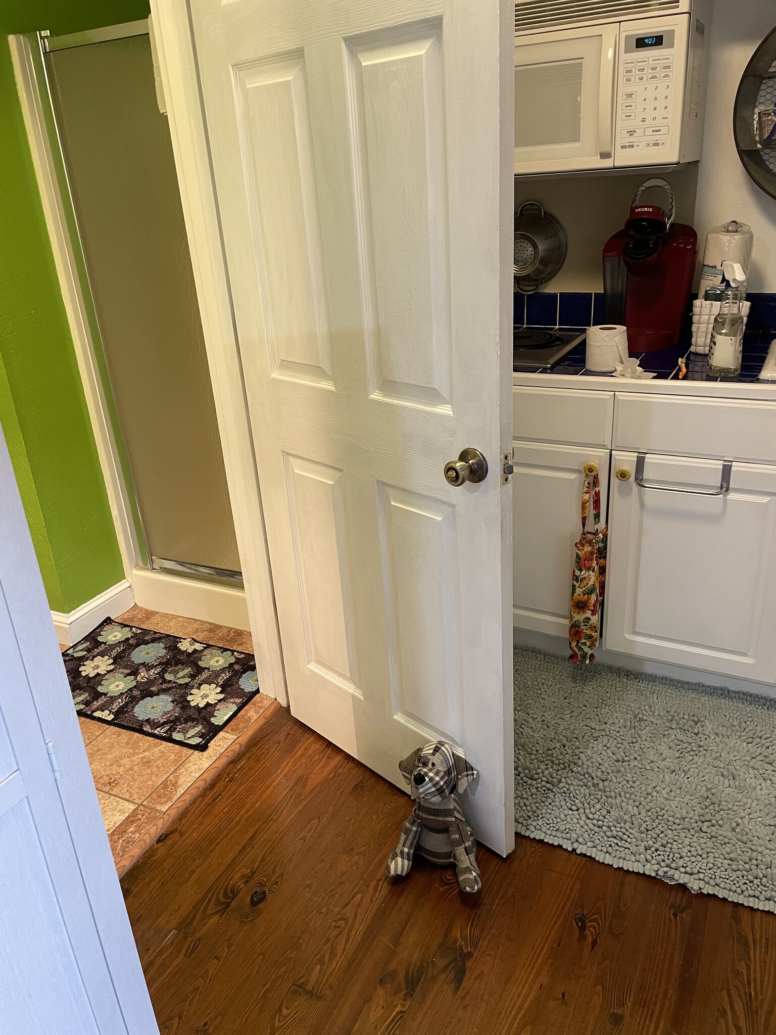 shower - 540 E Taylor St