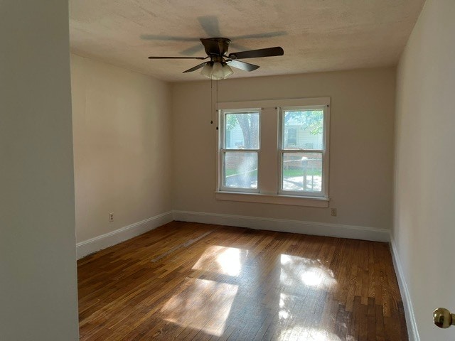 Building Photo - 26 Pelzer St