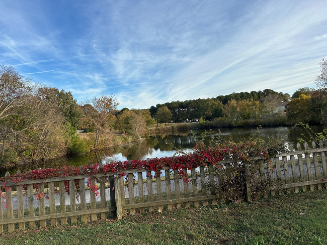 Building Photo - 1014 Scarlet Oak Ct S