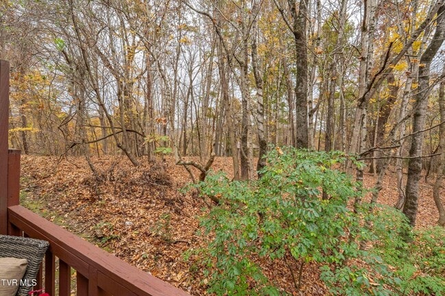 Building Photo - 2 Bdrm / 1.5 Bath Townhouse in Johnson City - Near ETSU, JCMC & VA