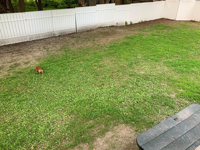 Building Photo - 117 Ashmont St