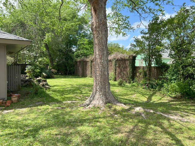 Building Photo - Beautiful Home on Esplanade across from Go...