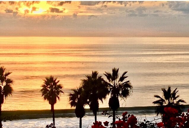 Building Photo - 1541 Buena Vista