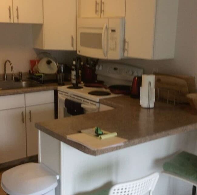 Building Photo - $900 | 1 Bedroom, 1 Bathroom Condo | No Pets | Available for August 1st, 2026 Move In!