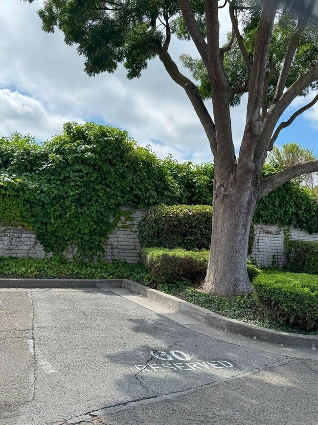 Building Photo - STUNNING 2bd/2ba PET FRIENDLY, UPDATED, LV...