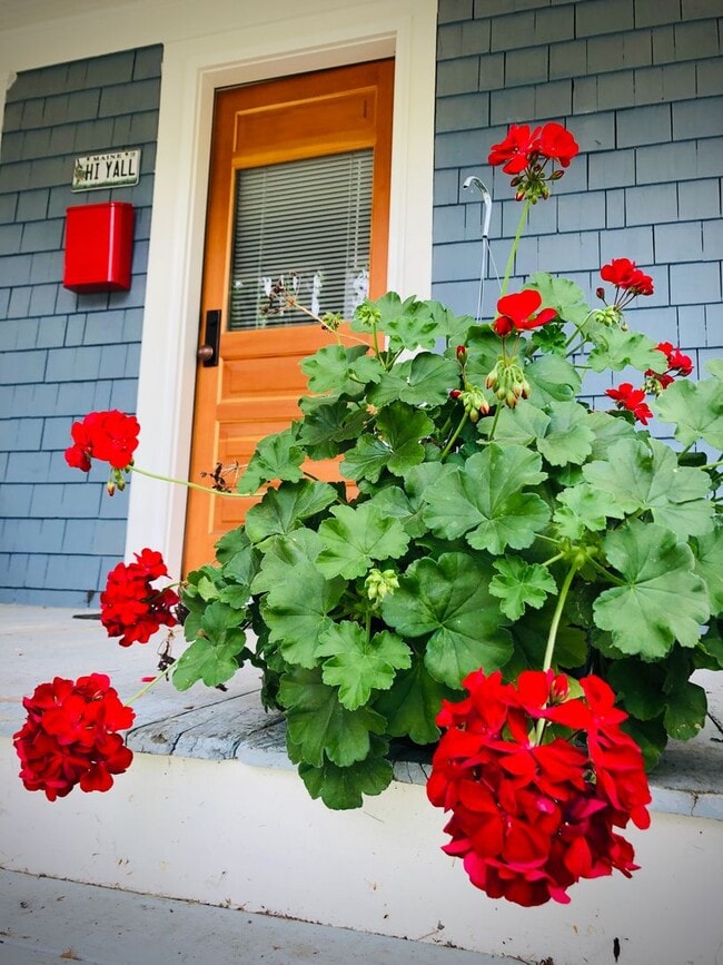 Building Photo - Charming 2 Bed 1 Bath