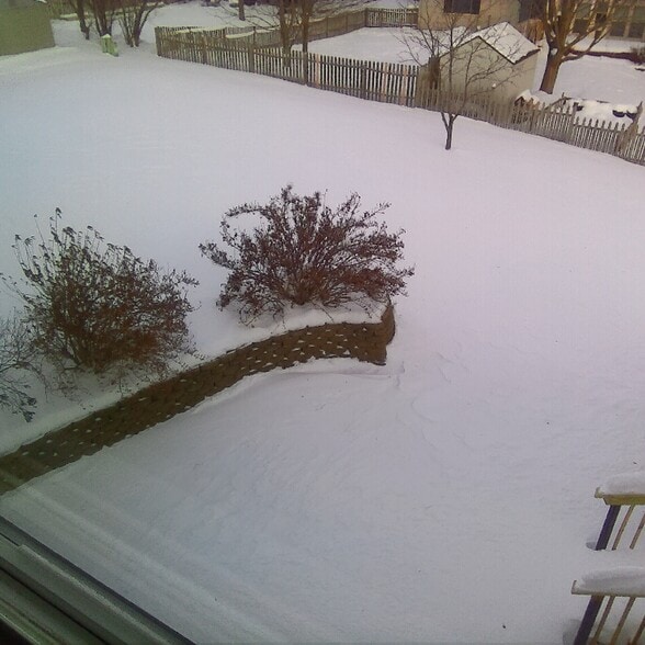 Building Photo - 1103 Autumn Dr