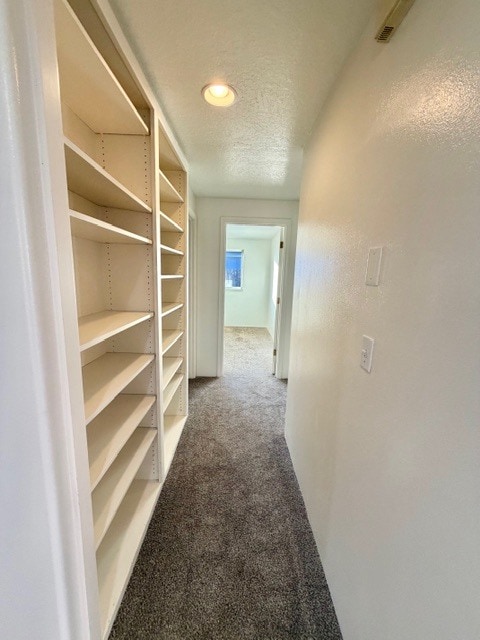 Building Photo - 1009 Juanita Way