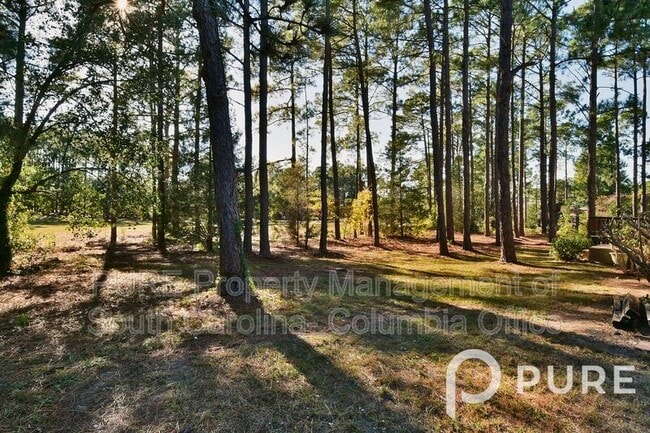 Building Photo - 5 Wotan Ln