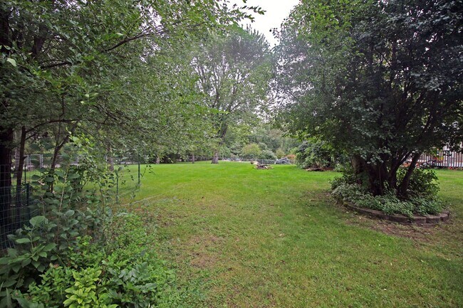 Building Photo - Beautifully updated 'Tonka rental available! 3 beds 2 baths in Royal Hills!