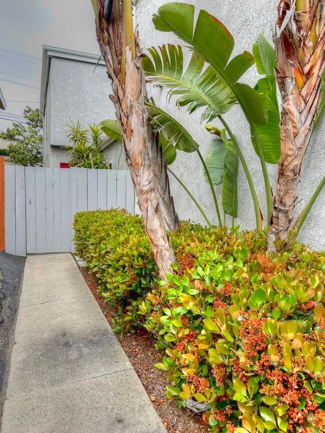 Building Photo - 33936 Alcazar Dr