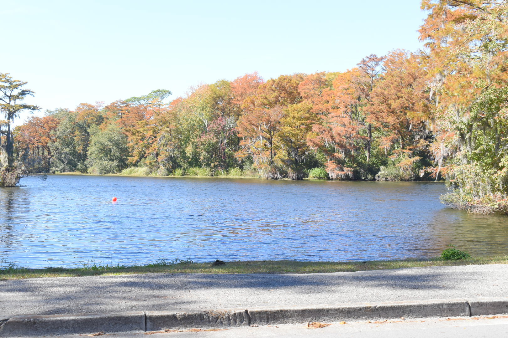 Building Photo - 2109 Wisteria Dr