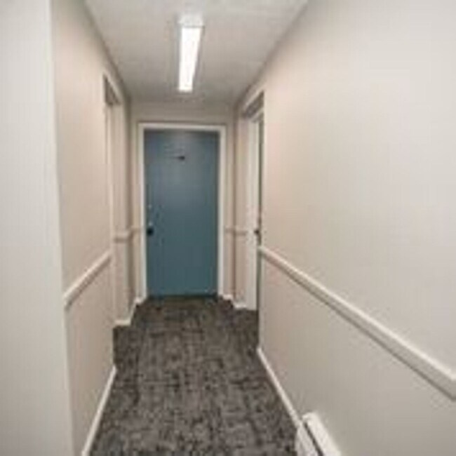 Building Photo - 1 Bed/ 1 Bath Renovated Apartment in Brook Park Ohio