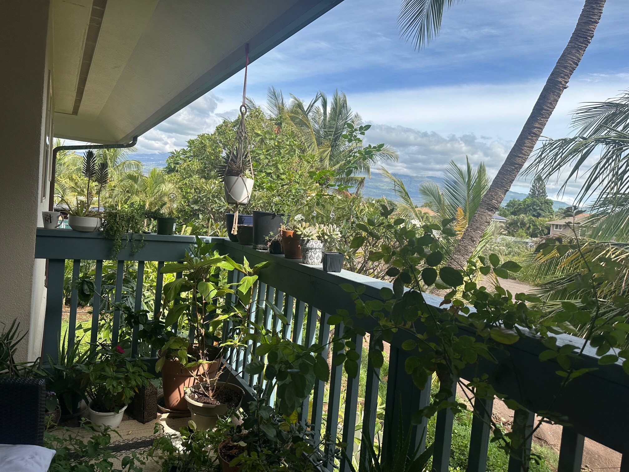 Building Photo - 70 Halili Ln