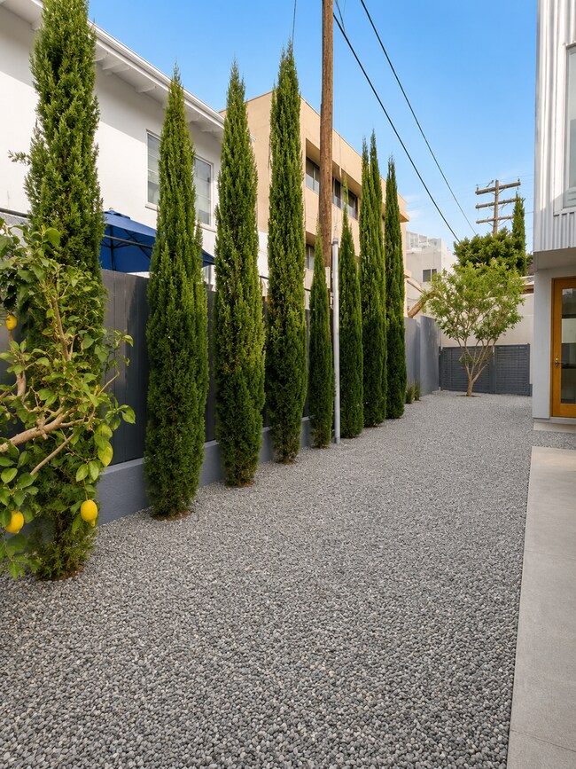 Building Photo - Contemporary Luxury Living in the Heart of La Jolla Village