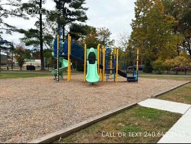 Building Photo - 10211 Cove Ledge Ct