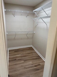 Building Photo - 100 Mill Pond Dr