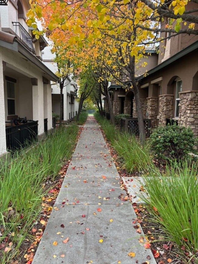 Building Photo - 2BD/2.5BA Condo located in Lincoln