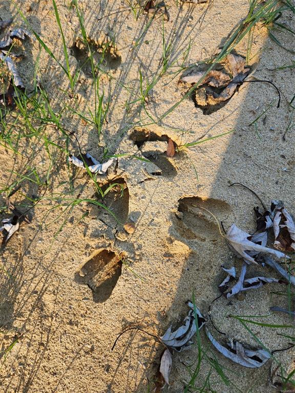 Building Photo - 1174 Old Prattville Rd