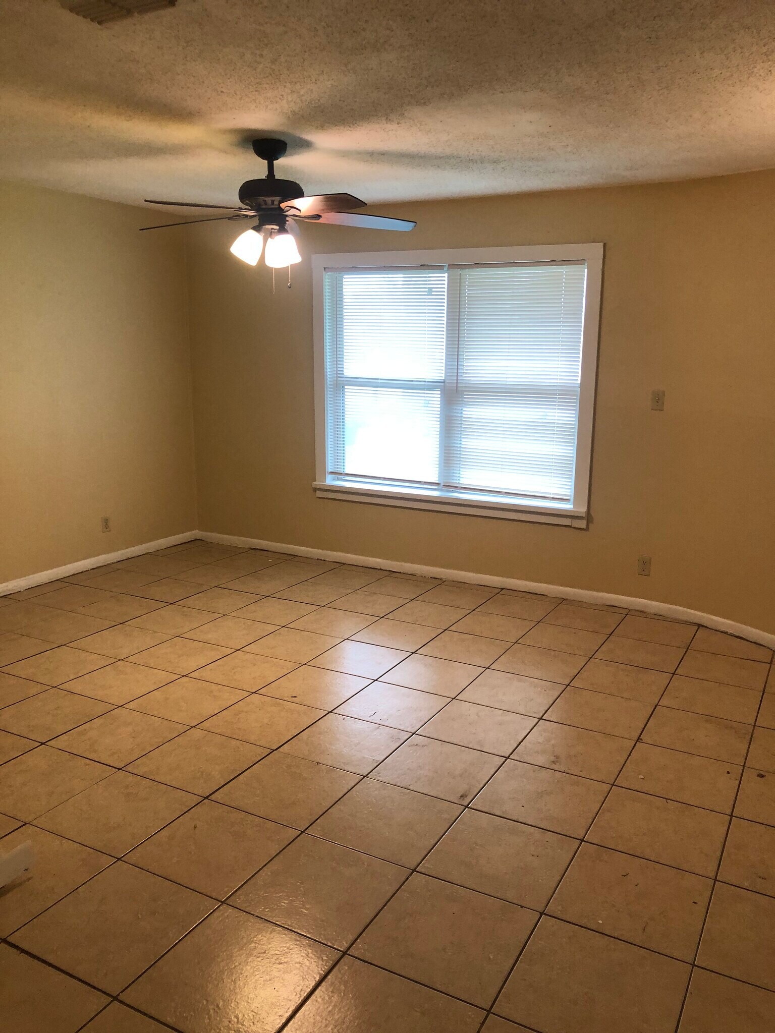 Living Room - 2510 N Rose St