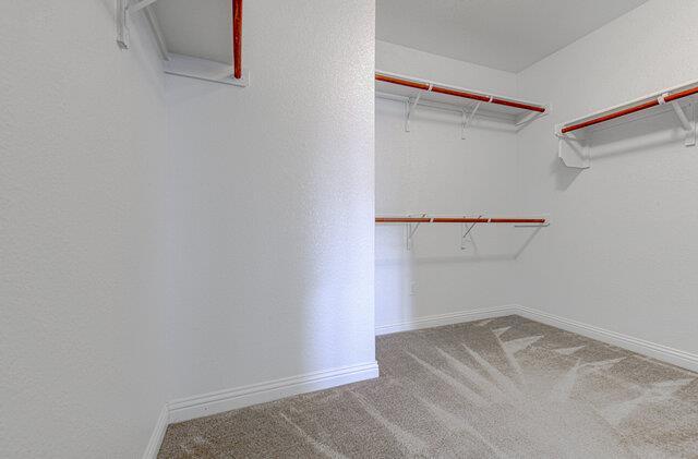 Building Photo - 3900 Belmont Stables Ln