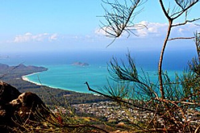 Building Photo - 3 Bed/2 Bath Laie Home with big yard and bonus space