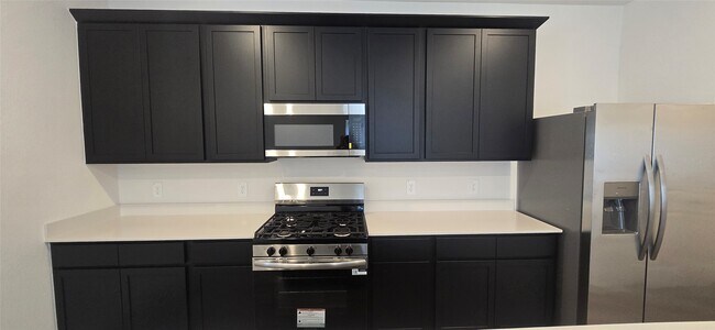 Building Photo - 1706 STELVIO PASS Dr