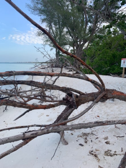 Building Photo - 1 Bluebill Ave