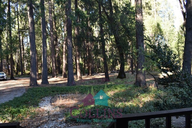 Building Photo - 11071 Cedar Ridge Dr