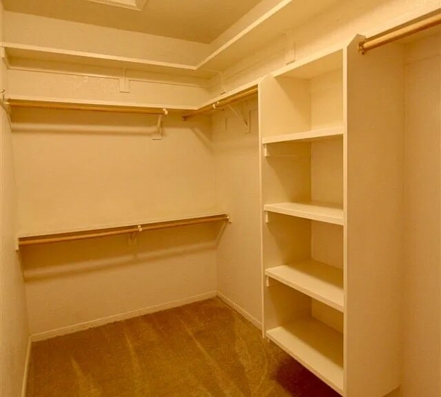 Building Photo - 11242 S Sally Dr