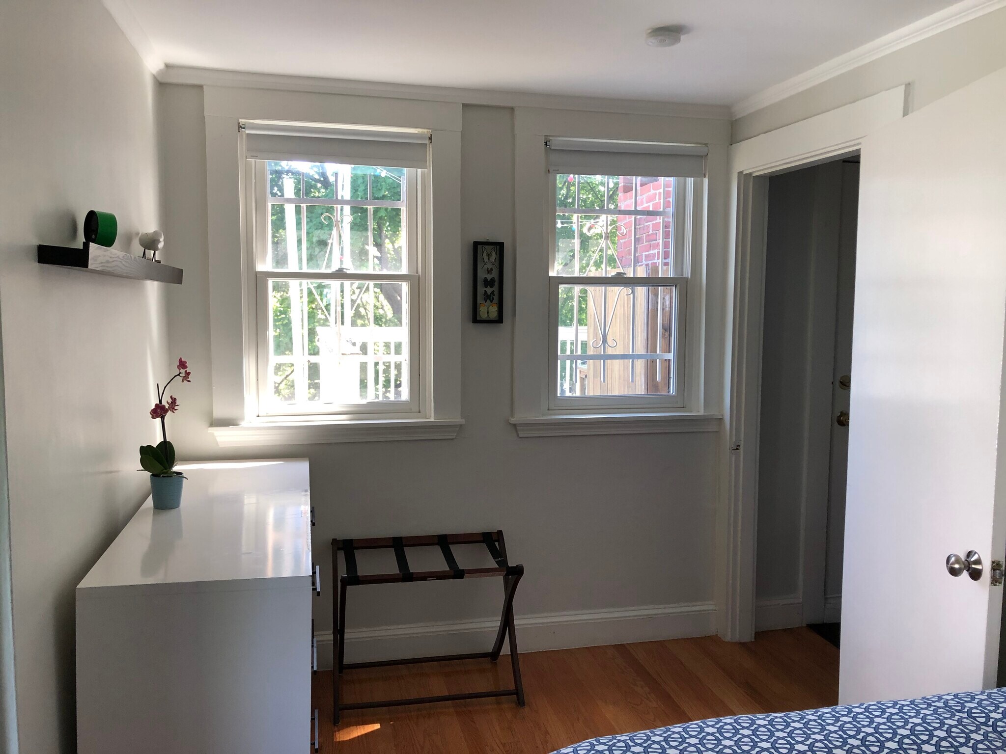 Building Photo - 105 Chestnut St