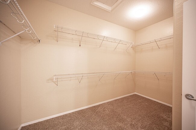 Building Photo - Beautiful single story home (55+). 3 Bed 2...