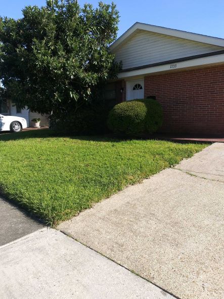 Primary Photo - 1733 Lincoln Ave