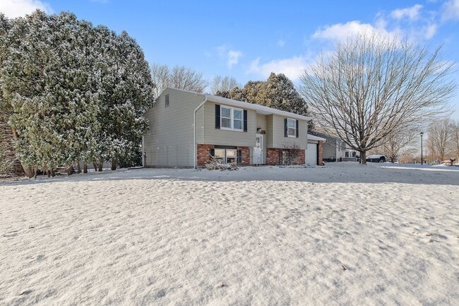 Building Photo - 4210 Trotwood Ln