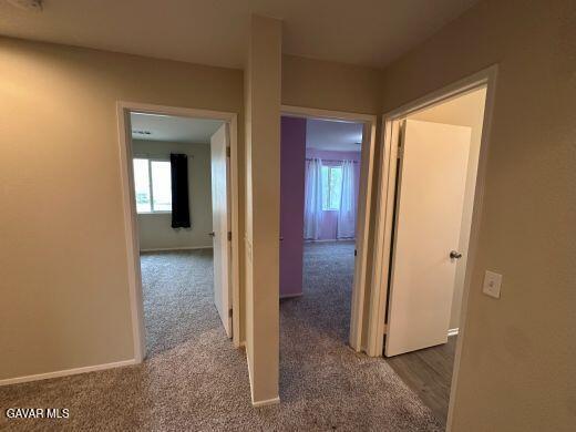 Building Photo - 3002 Jojoba Terrace