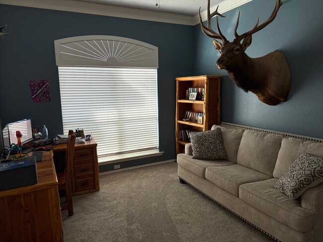 Building Photo - 4812 Knights Pl