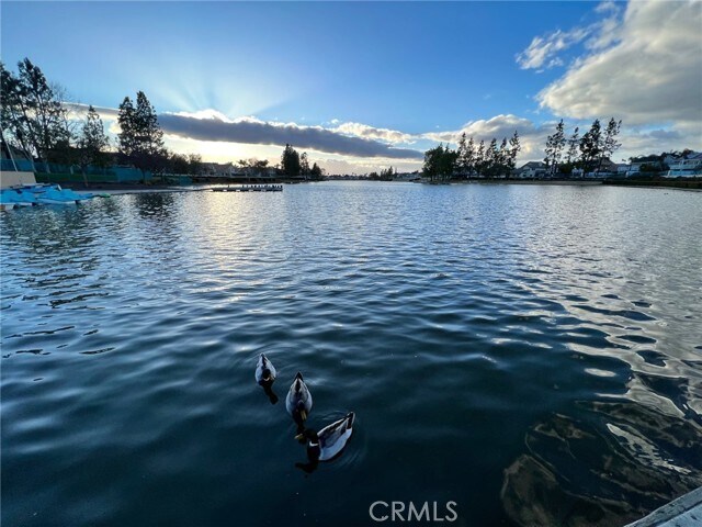 Building Photo - 30665 Spring Deep Terrace