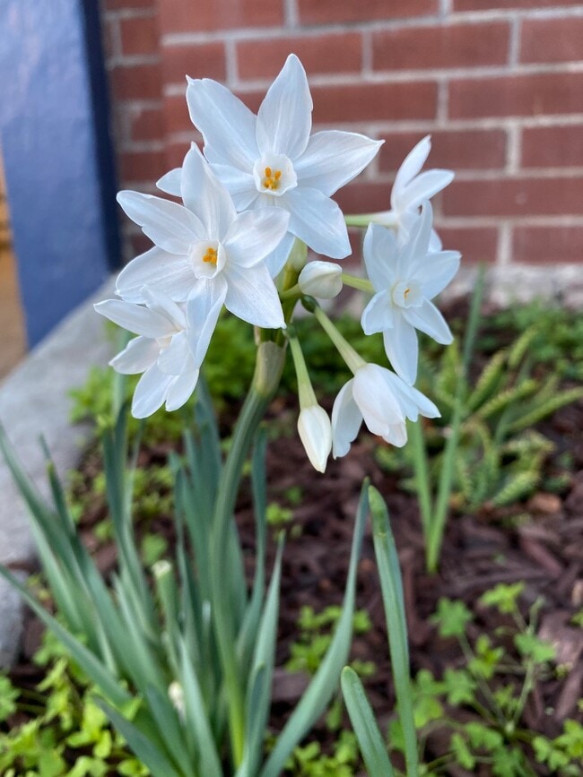 Building Photo - 2345 Fulton St