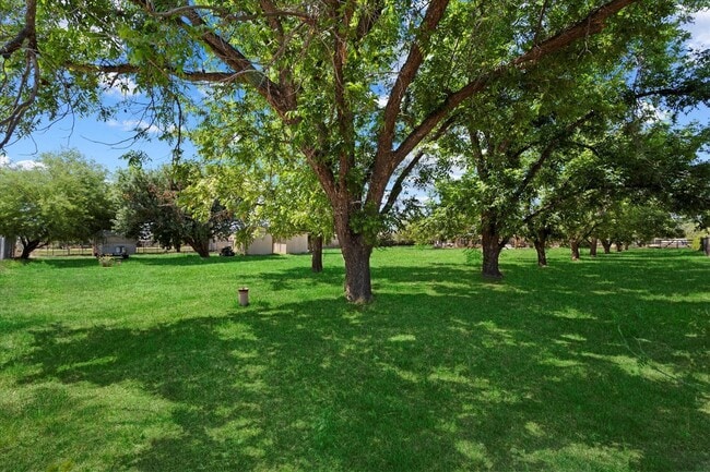 Building Photo - 23265 Vía Del Arroyo