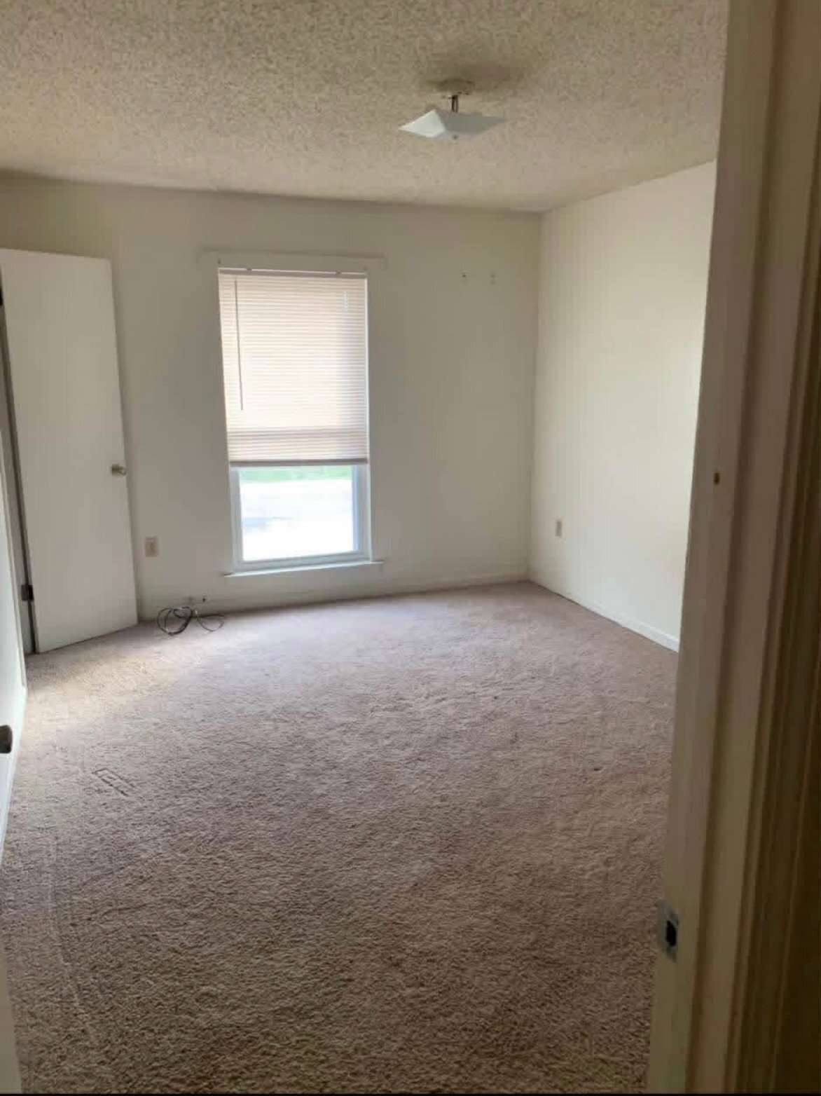 Building Photo - 205 Cathryn Dr
